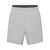 Spectra Running Shorts Men Iced Grey / XS Variant Image