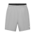 Spectra Running Shorts Women Iced Grey / XS Variant Image