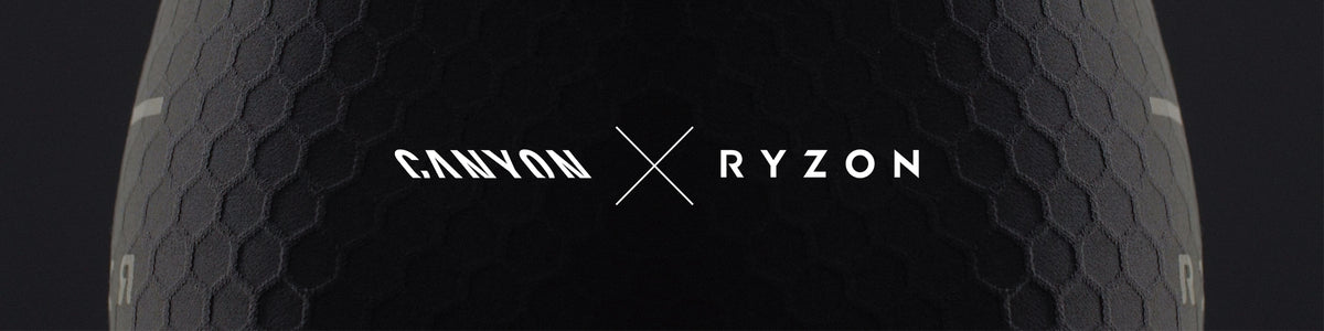 Alliance redefined - RYZON