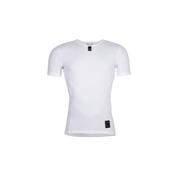 Arctic White