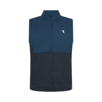 Color of the Earth / Grey Shadow