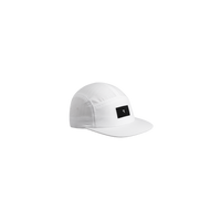 Arctic White