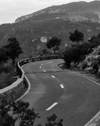 Lookbook Signature Cycling Bib Shorts Women 42