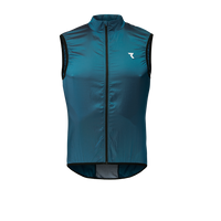 Sunken Teal