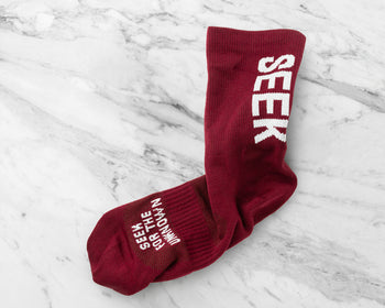 Lookbook Trace Performance Socks 
